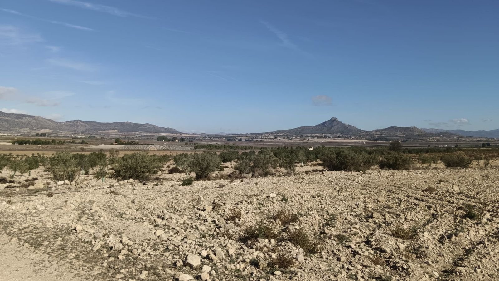 Land in Salinas v Salinas — Pozemek