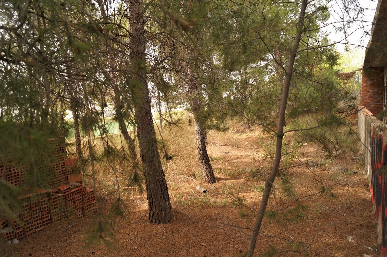 03 photo