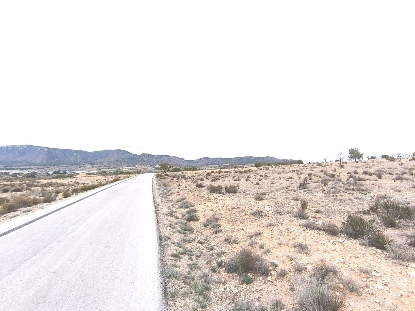 08 photo