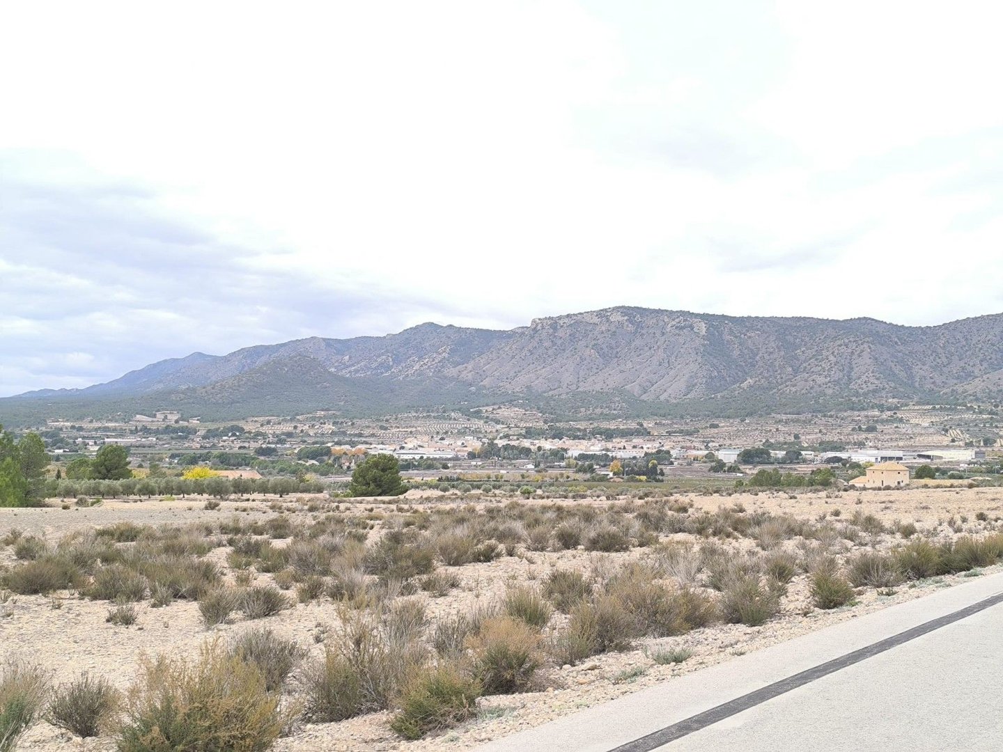 09 photo