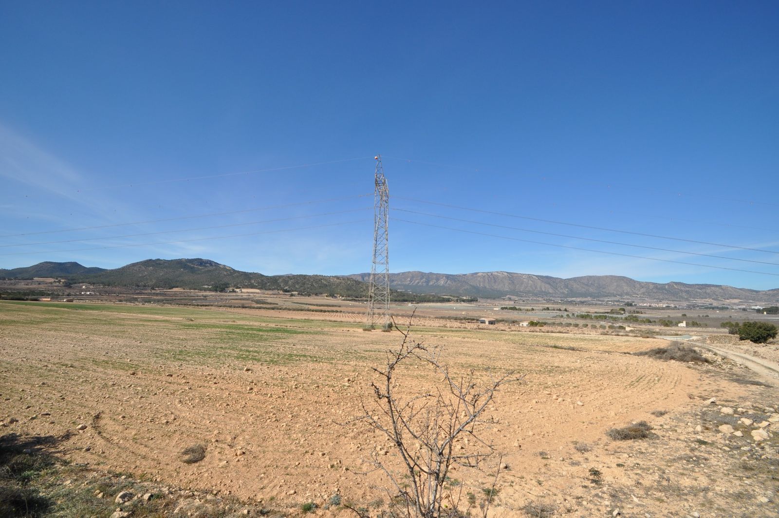 03 photo