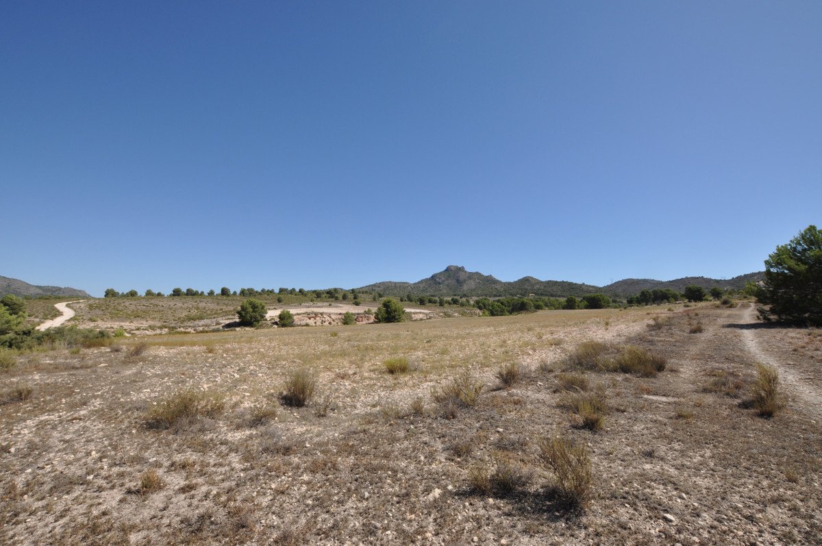 Residential Plot in Salinas in Salinas — Building Plot