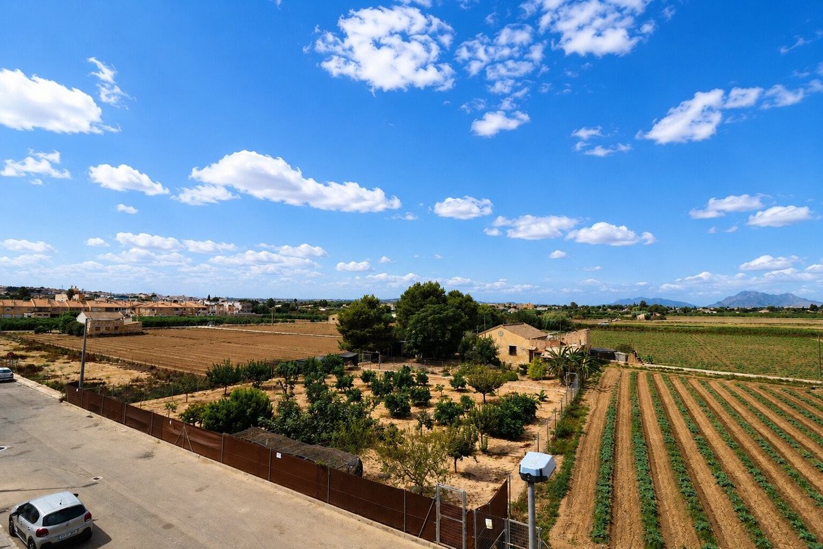 A wide view of cultivated fields, a house, and scattered trees under a blue sky with white clouds.