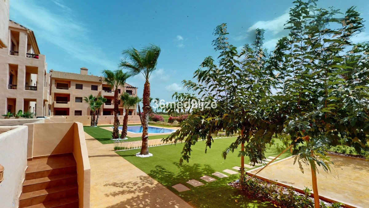 02 photo