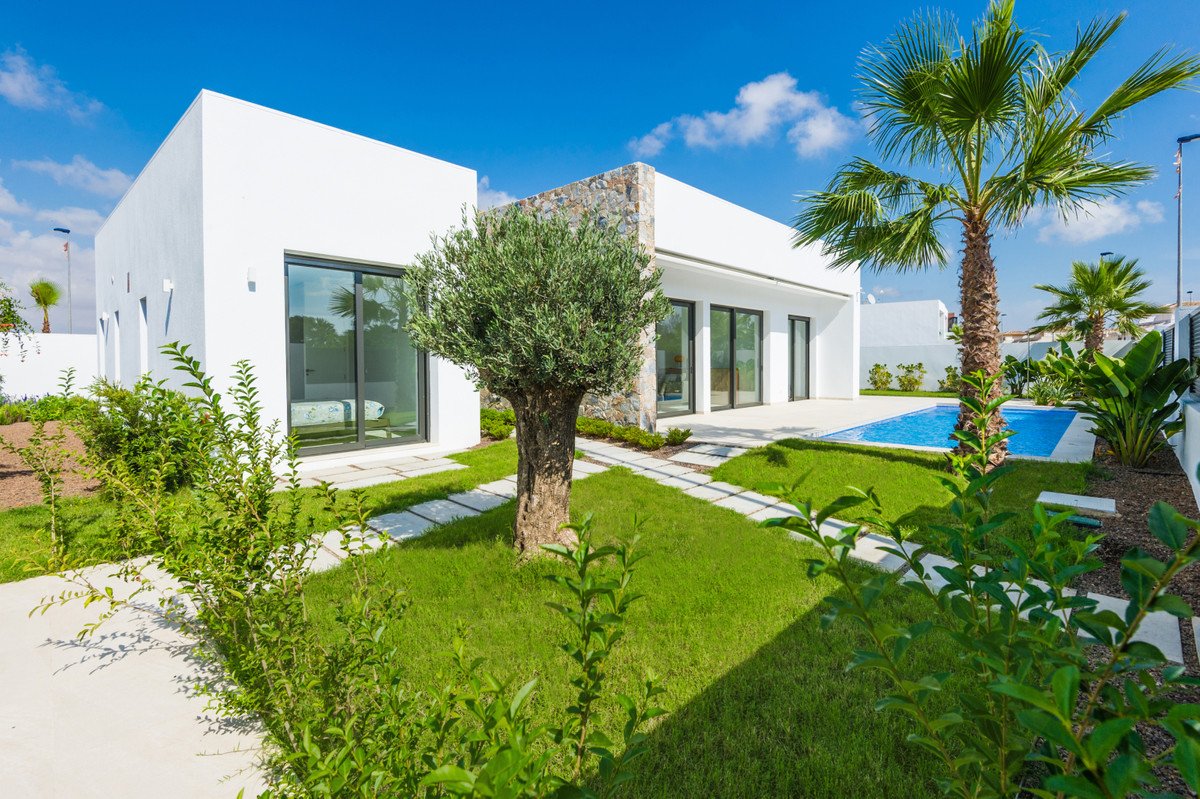 A modern white house with a swimming pool, lush green lawn, palm trees, and an olive tree in the yard.