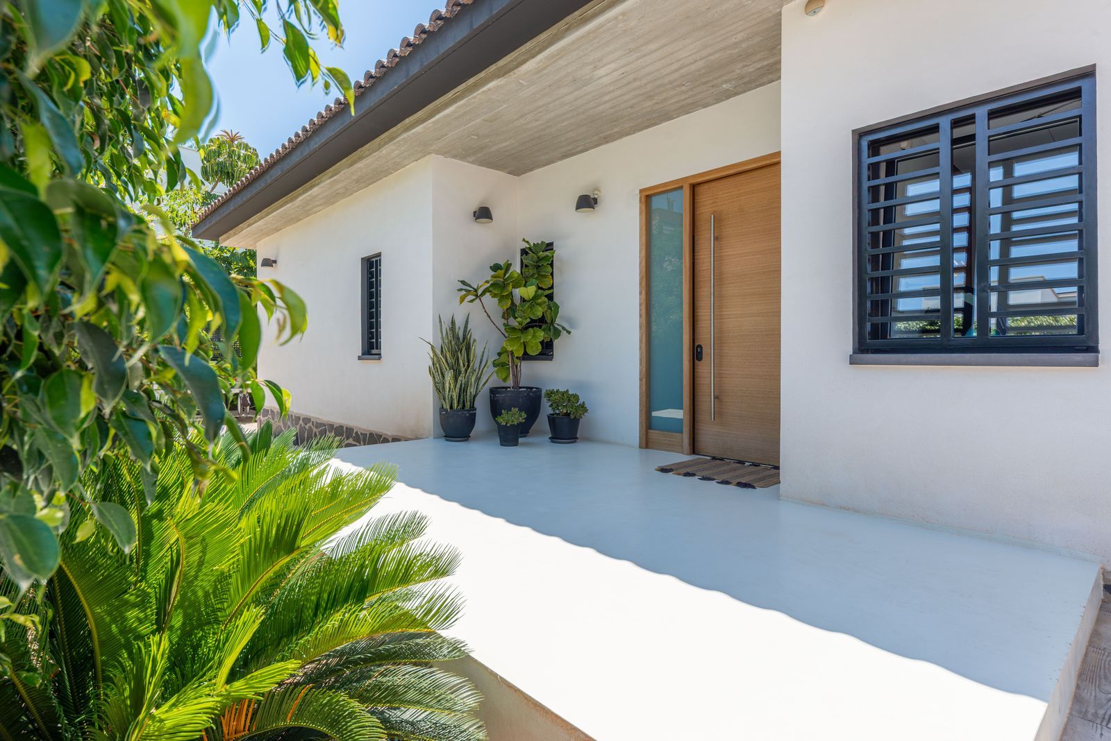 Moderne woning exterieur entree met planten en houten deur