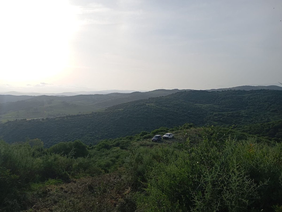 Land in San Martín de Tesorillo in San Martín de Tesorillo, Land