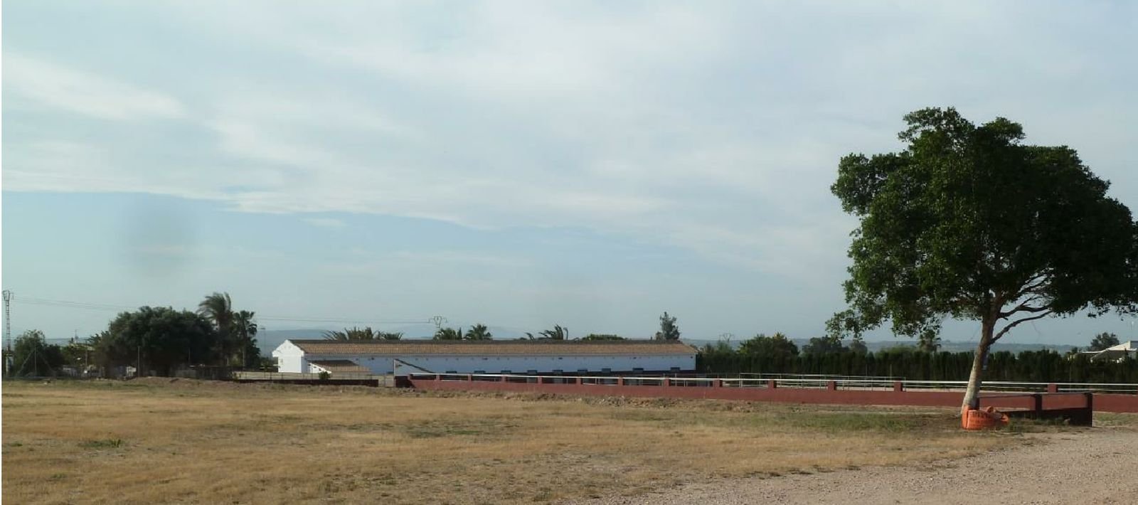 03 photo