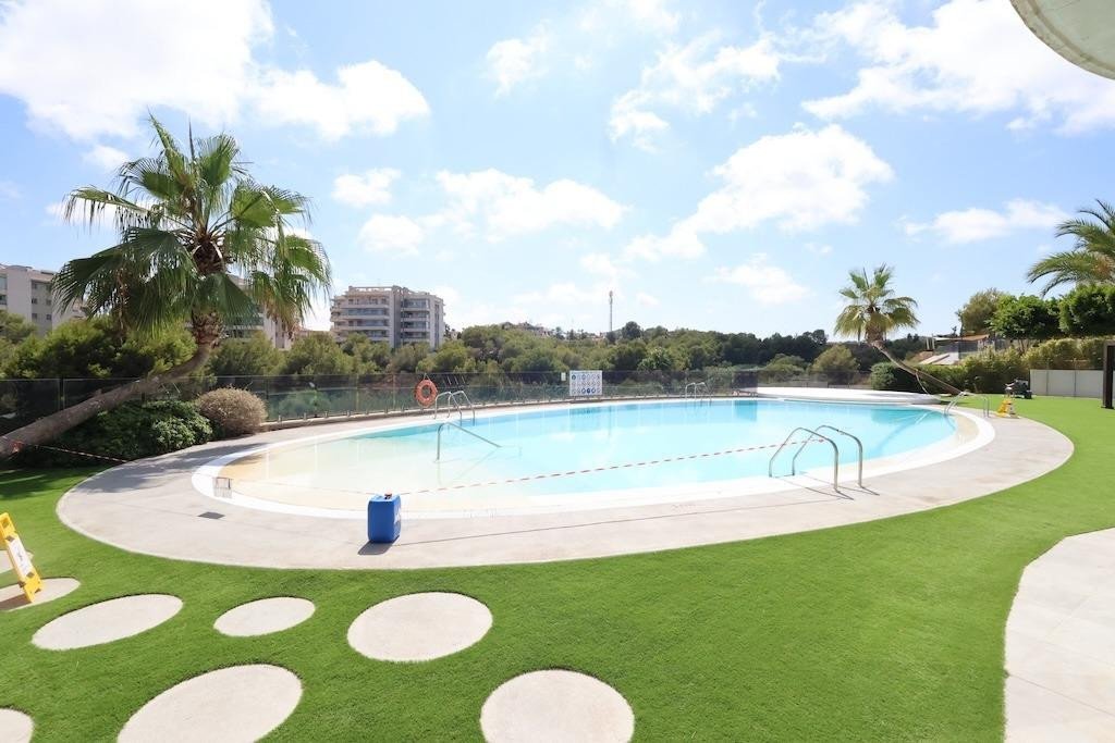 Large communal swimming pool surrounded by grass and palm trees under a bright, sunny sky with scattered clouds.