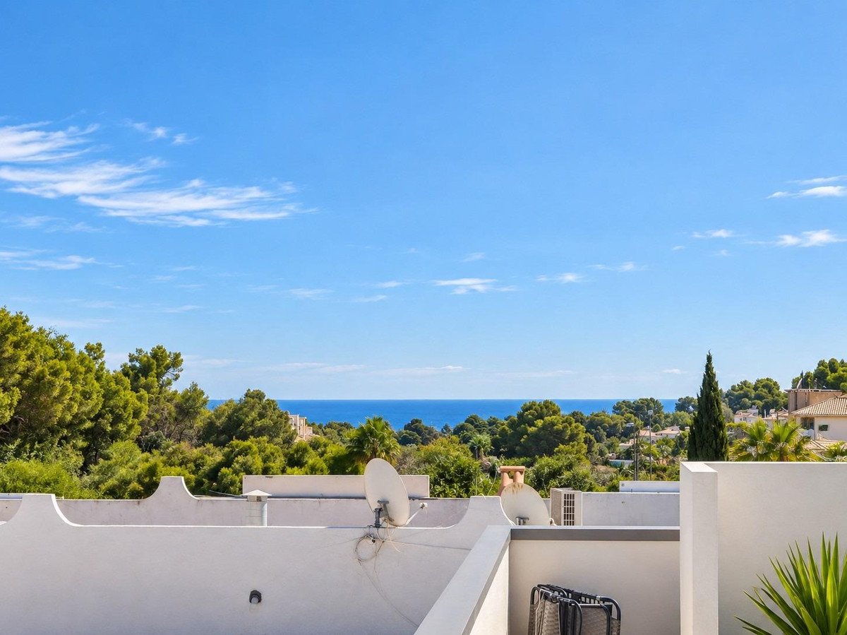 A bright day with a clear blue sky over a terrace overlooking lush green trees and the calm blue sea in the distance.
