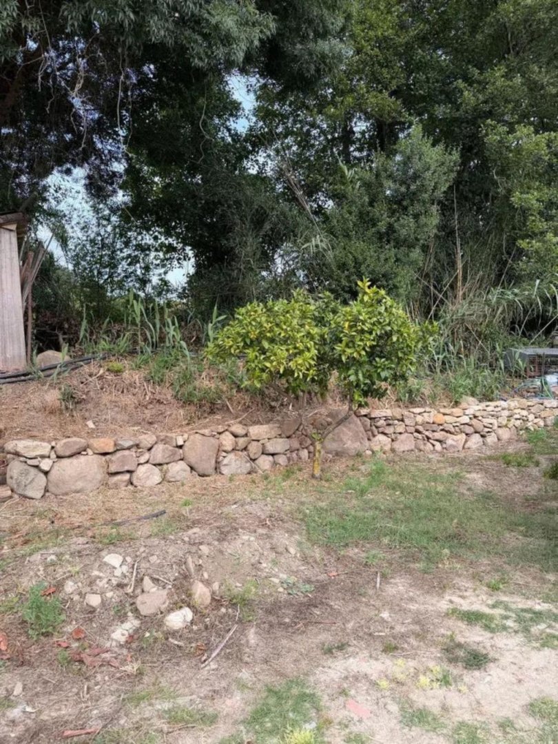 05 photo