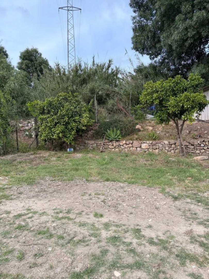 06 photo