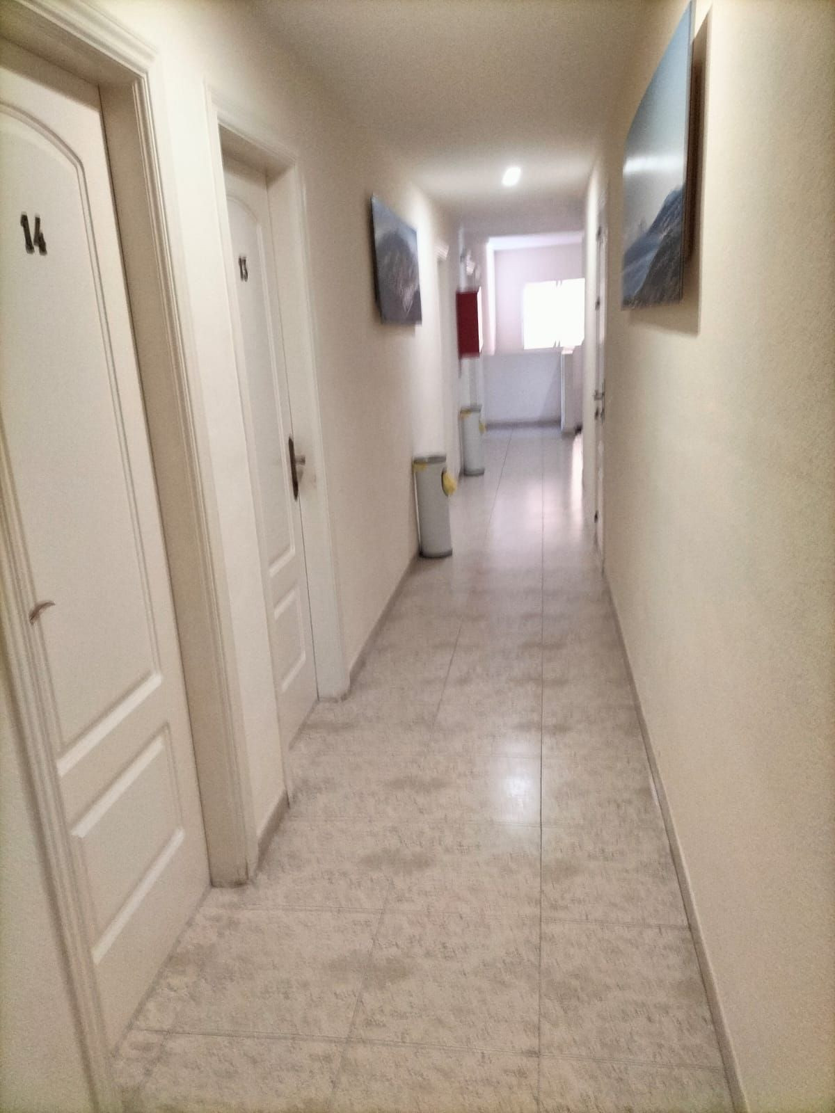 11 Bed Hostel in San Pedro de Alcántara في San Pedro de Alcántara — هوستل