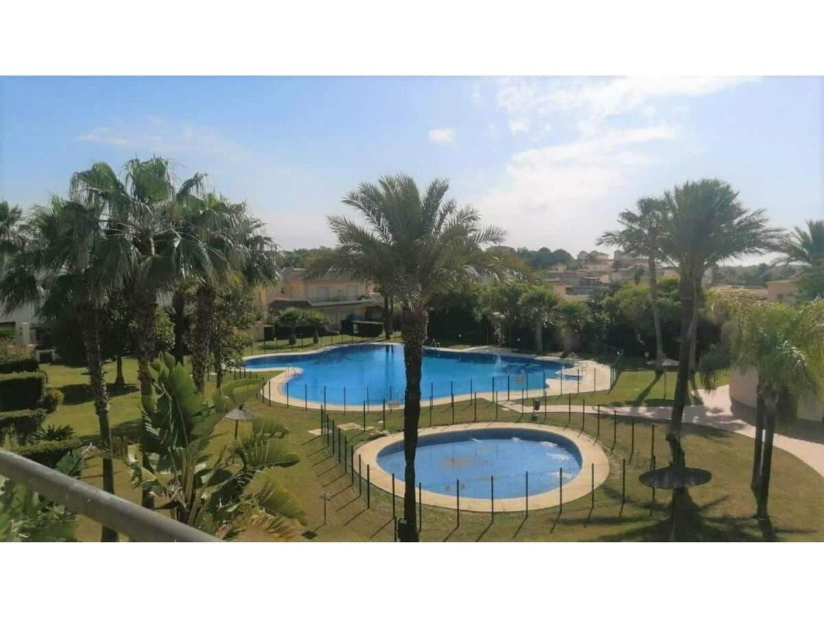 Swimming pool surrounded by palm trees and greenery