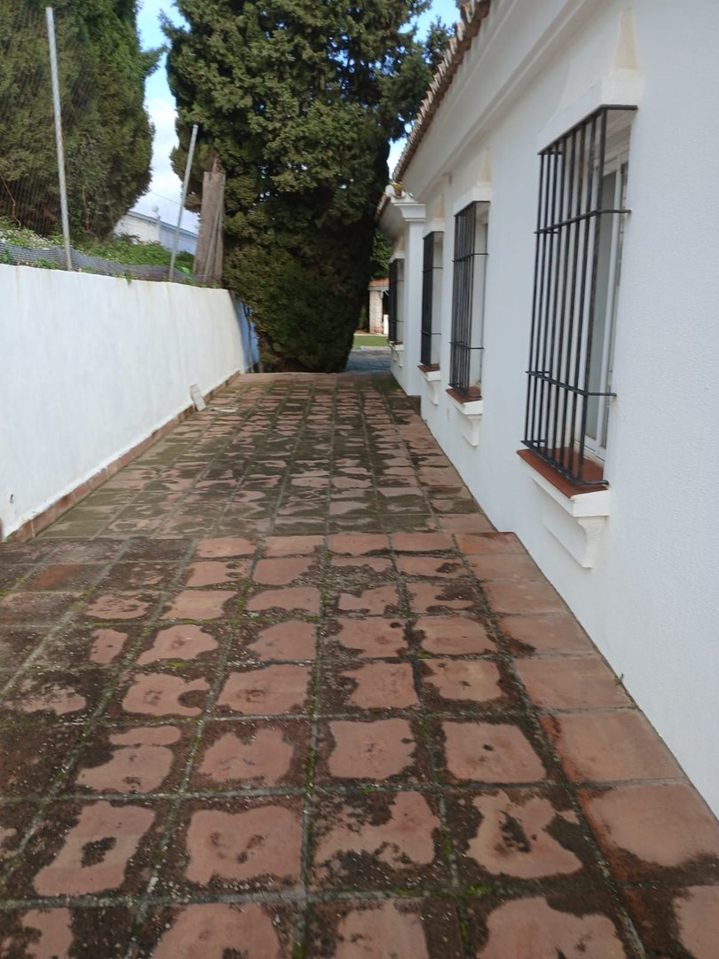 06 photo