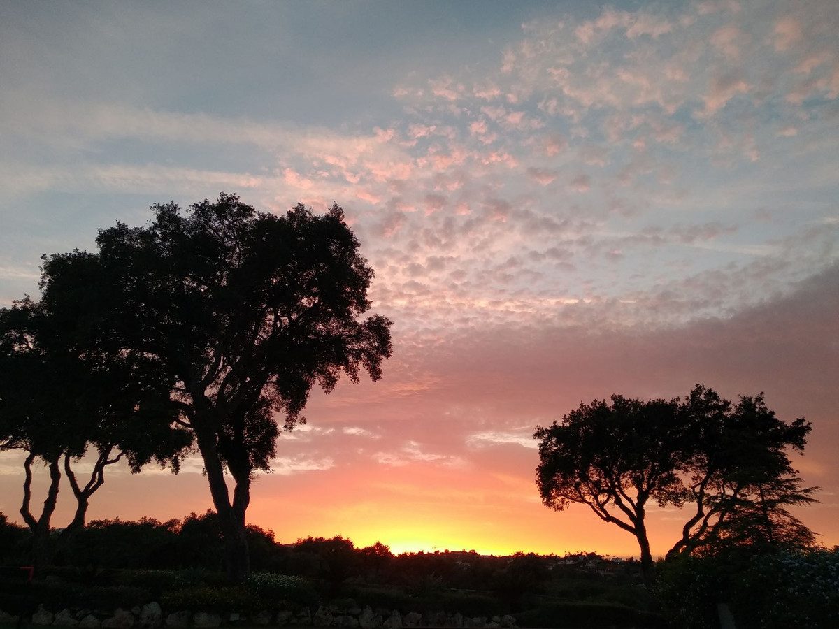 20 photo