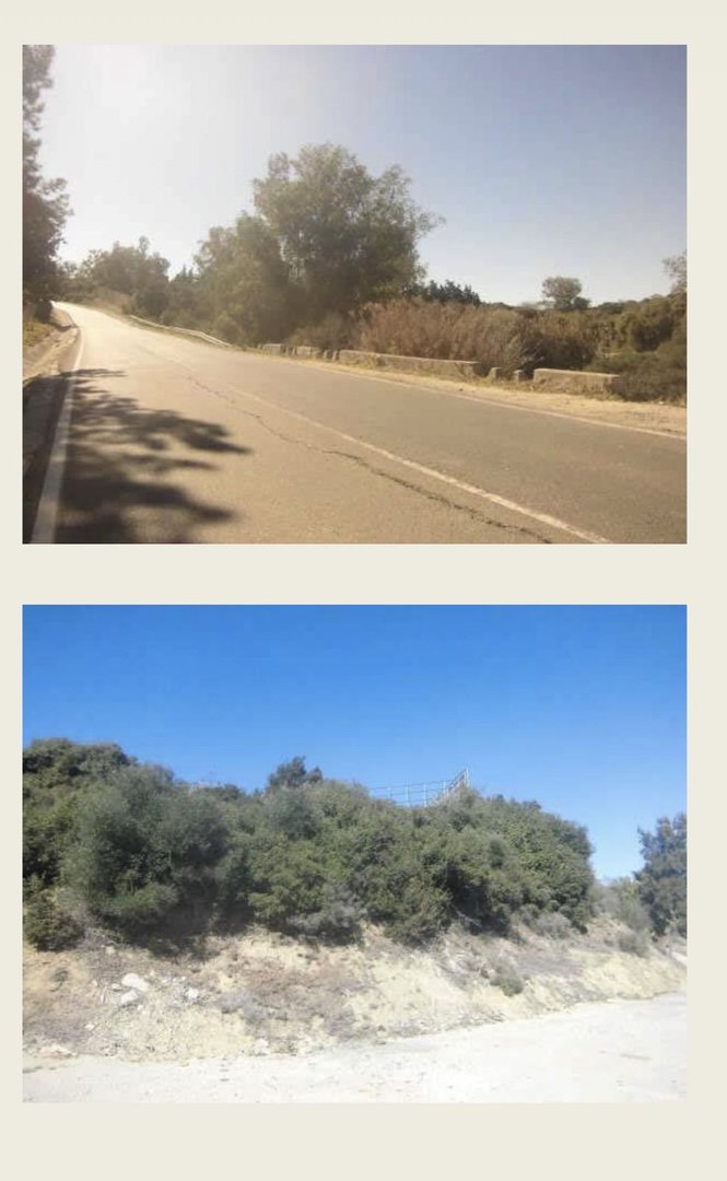 Residential Plot in Sotogrande Alto in Sotogrande Alto, Residential Plot