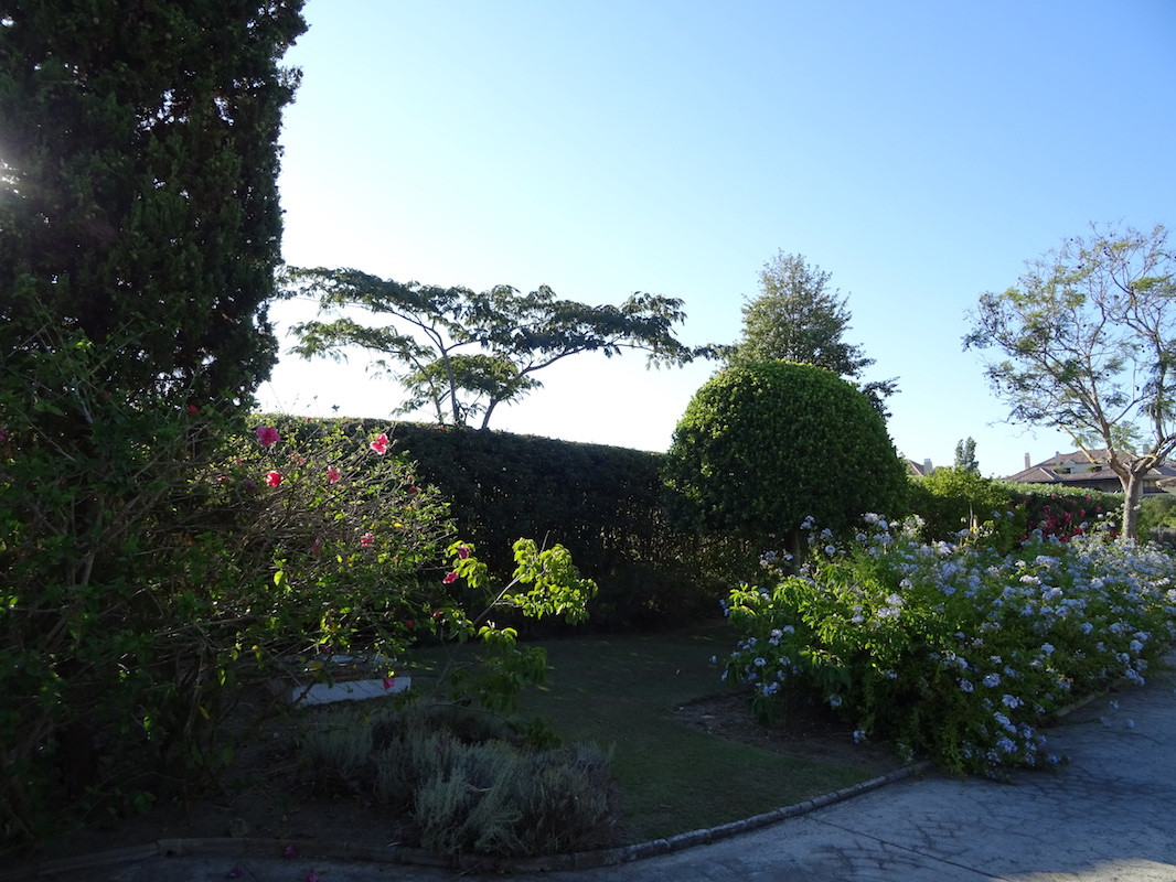 25 photo