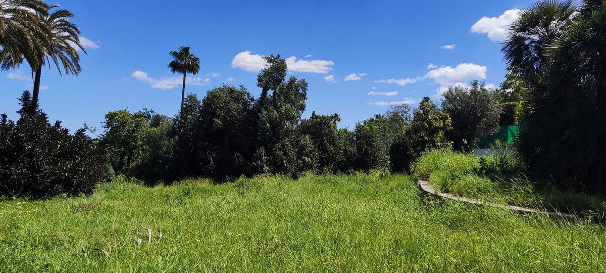 A panoramic view of a lush, green garden with tall trees, palm trees, and a blue sky with scattered clouds.