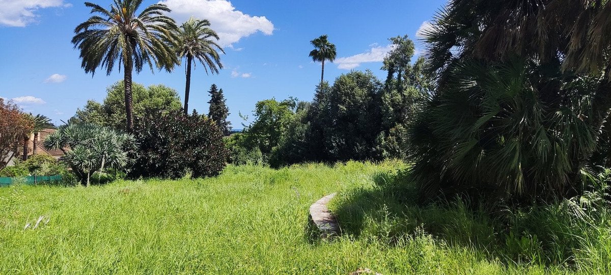 A winding stone path through tall green grass leads into a lush garden with palm trees and dense greenery under a blue sky.