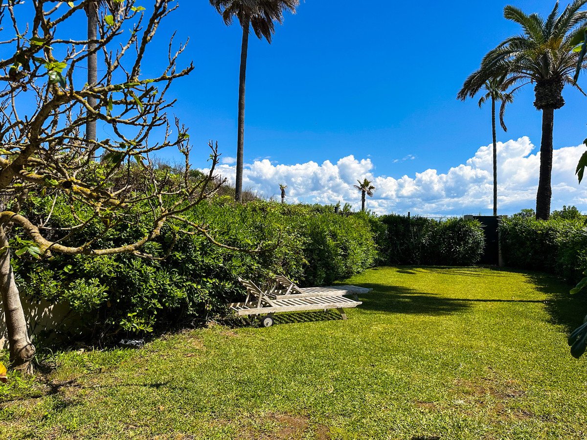 A green lawn with lounge chairs, surrounded by lush bushes, palm trees, and a bright blue sky with clouds.