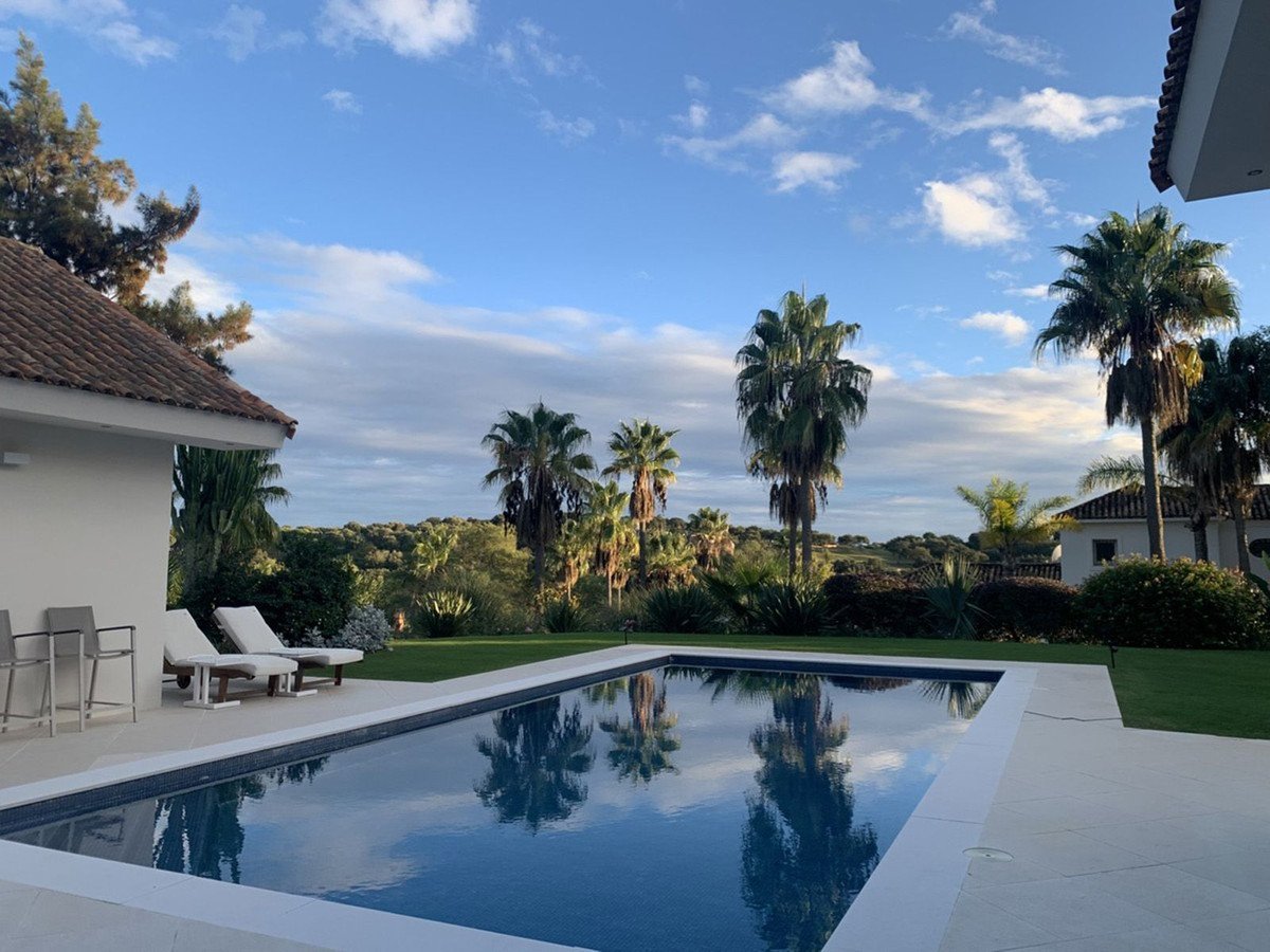 A beautiful swimming pool with palm trees and lounge chairs under a blue sky with white clouds.
