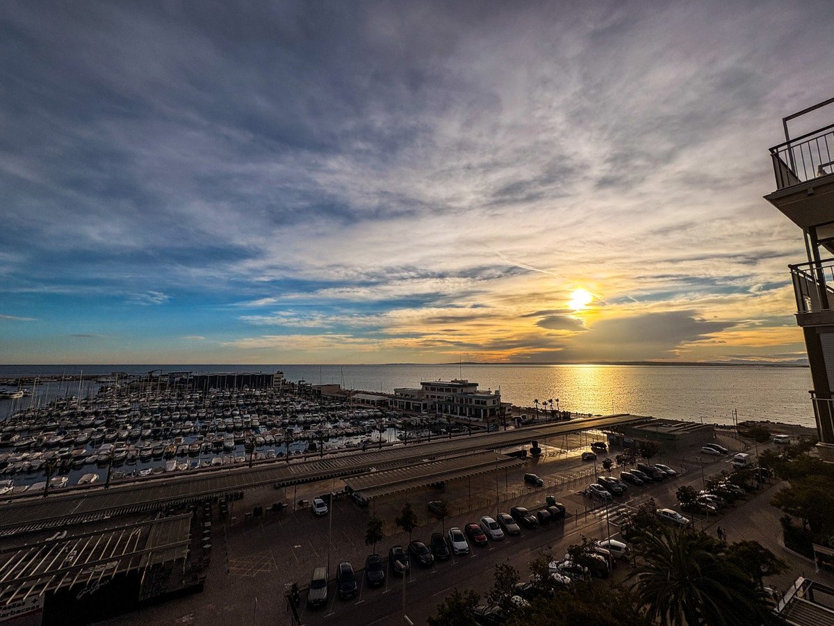 Sunset over marina with boats and parked cars below