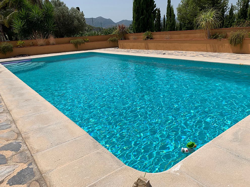 Privézwembad op een zonnige dag