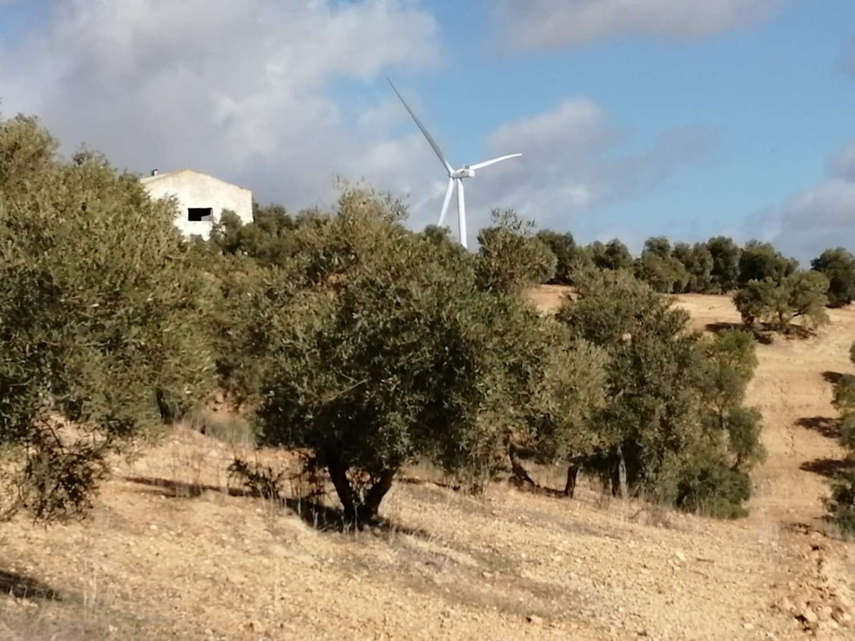 Landelijk onroerend goed met windmolen en olijfbomen.