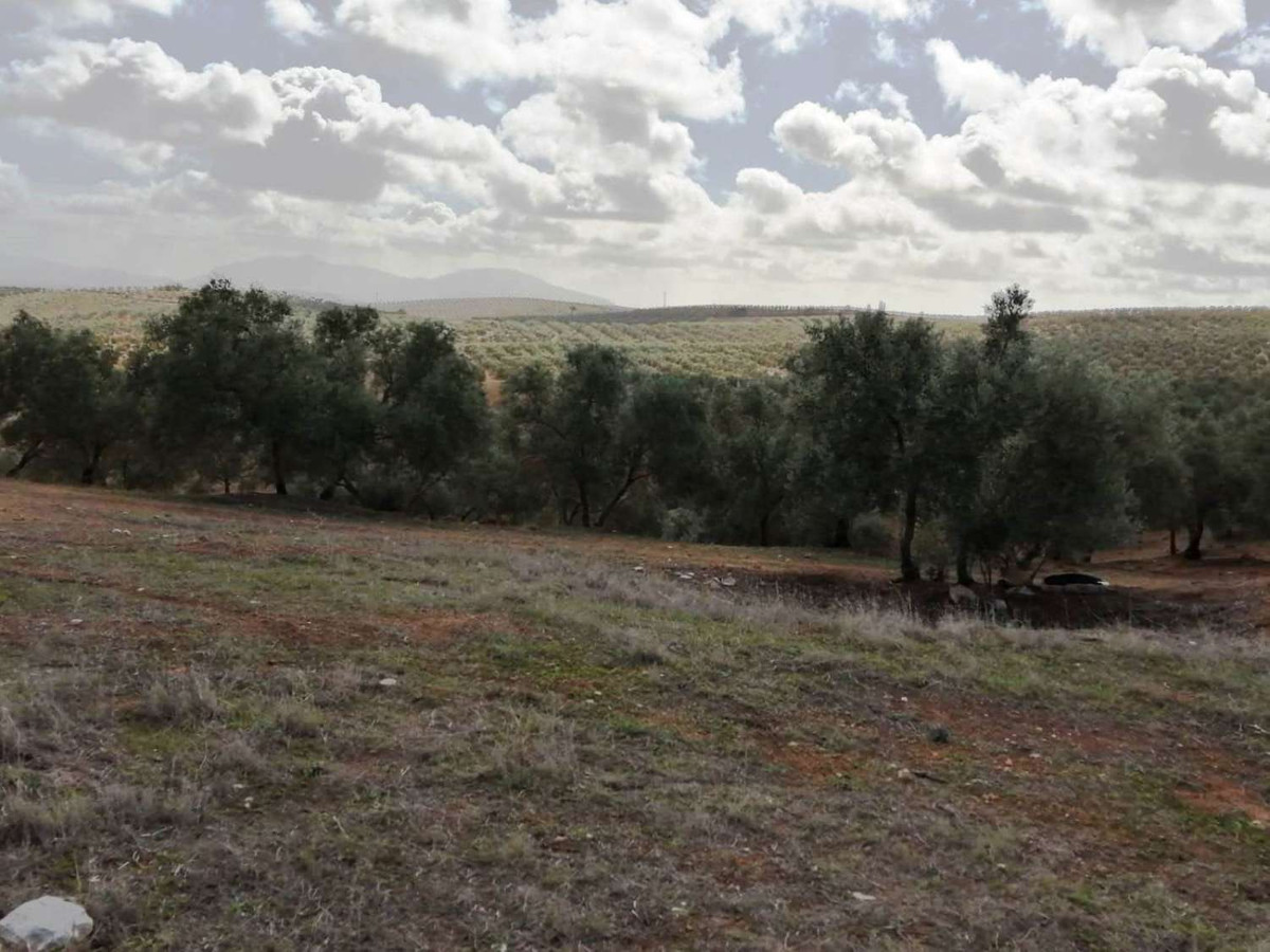 16 photo