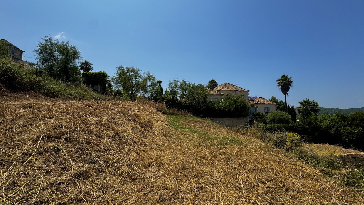 06 photo