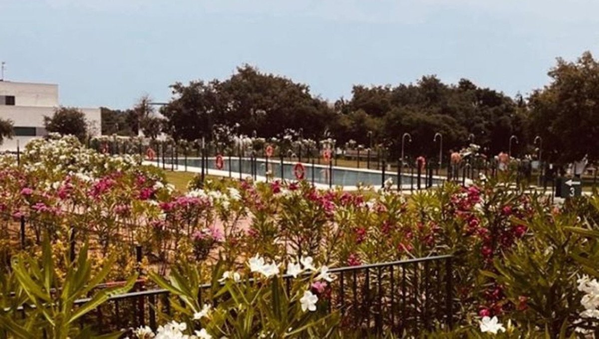 5 Bed Middle Floor Apartment in Sotogrande in Sotogrande — Apartment