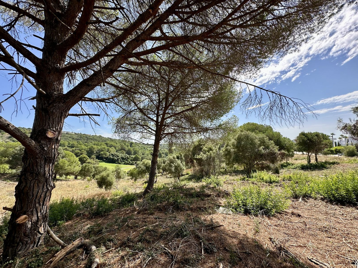 Land in Sotogrande في Sotogrande — ارض
