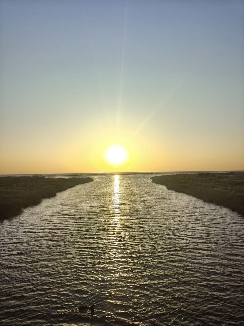 05 photo
