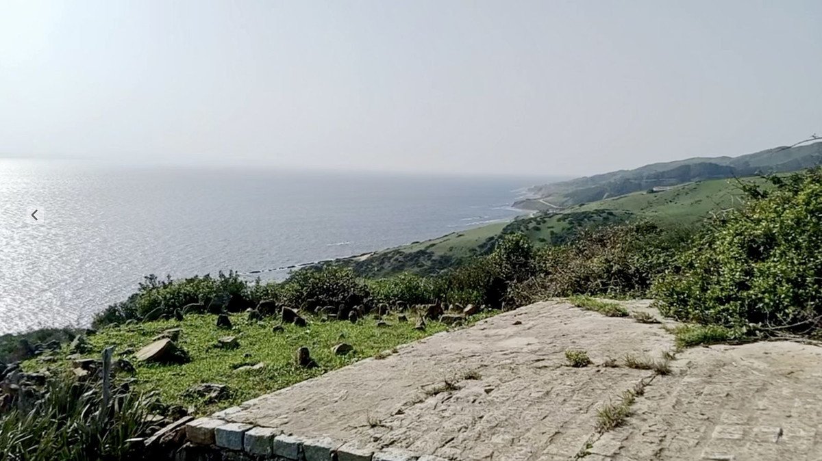 06 photo