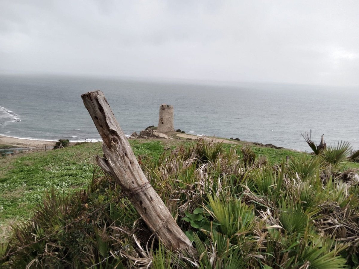04 photo