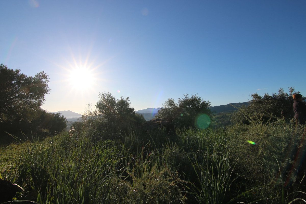 Land in Tolox v Tolox — Zemljišče