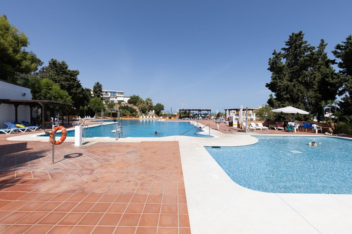 Large outdoor swimming pool with sunbeds, umbrellas, and trees. The terracotta tiled terrace has lounge chairs and a lifebuoy.