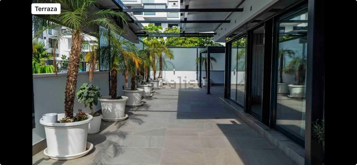 Modern terrace with potted palm trees and floor-to-ceiling windows overlooking a building.