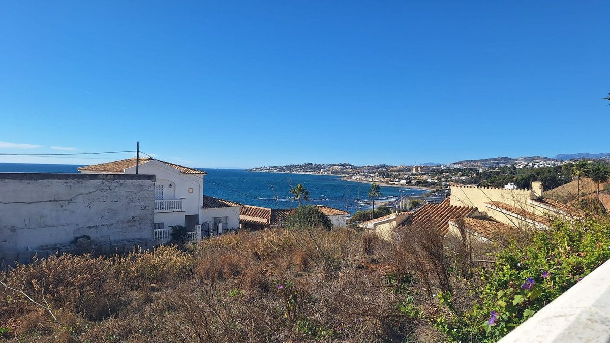 06 photo
