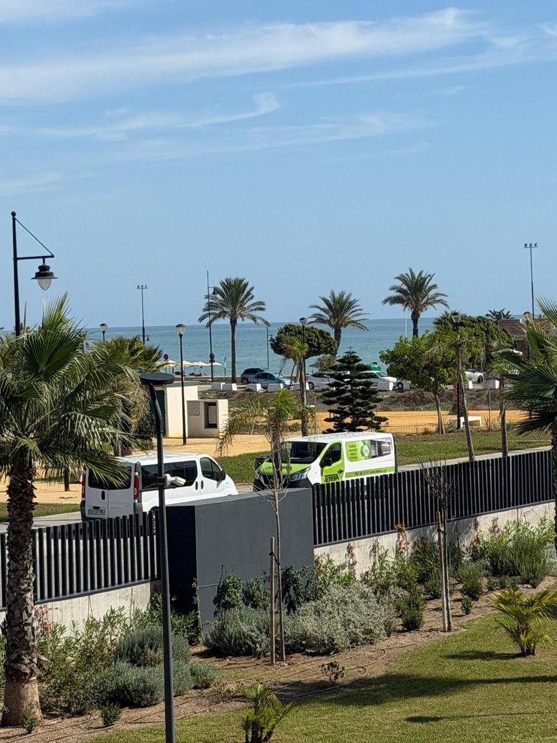 A view from a balcony overlooking the sea, with palm trees and a street with vans in the foreground.