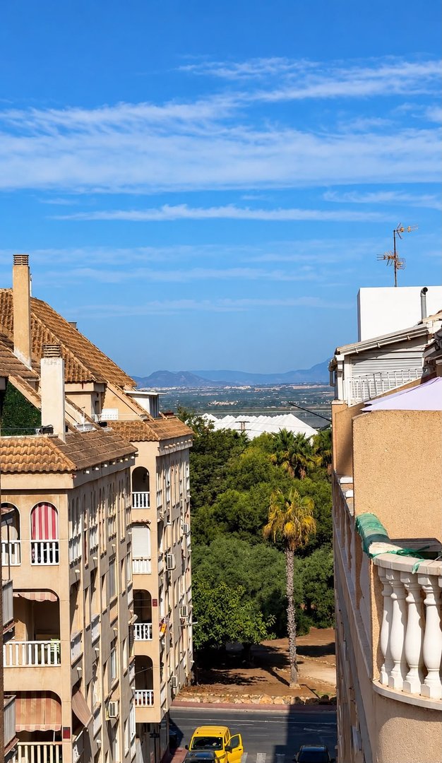 View from a balcony of buildings, trees, a palm tree, and distant mountains under a blue sky with clouds.