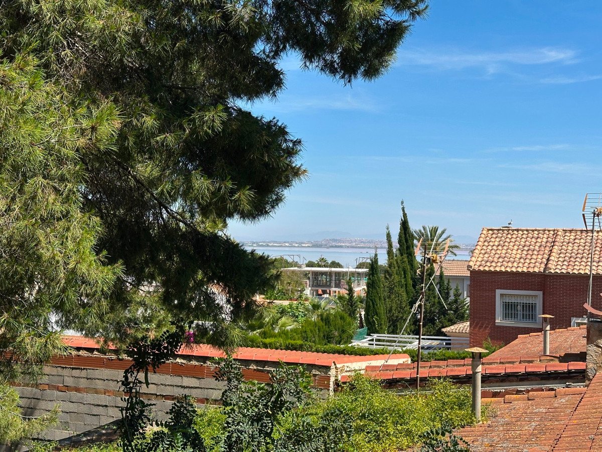 8 Bed Detached Villa in Torrevieja in Torrevieja, Detached Villa