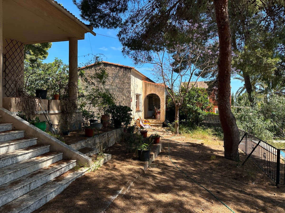 05 photo