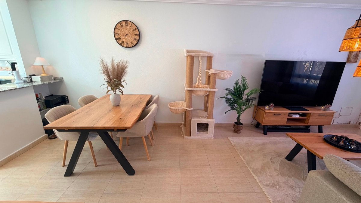 Living and dining room with wooden table, cat tree, TV, and plants