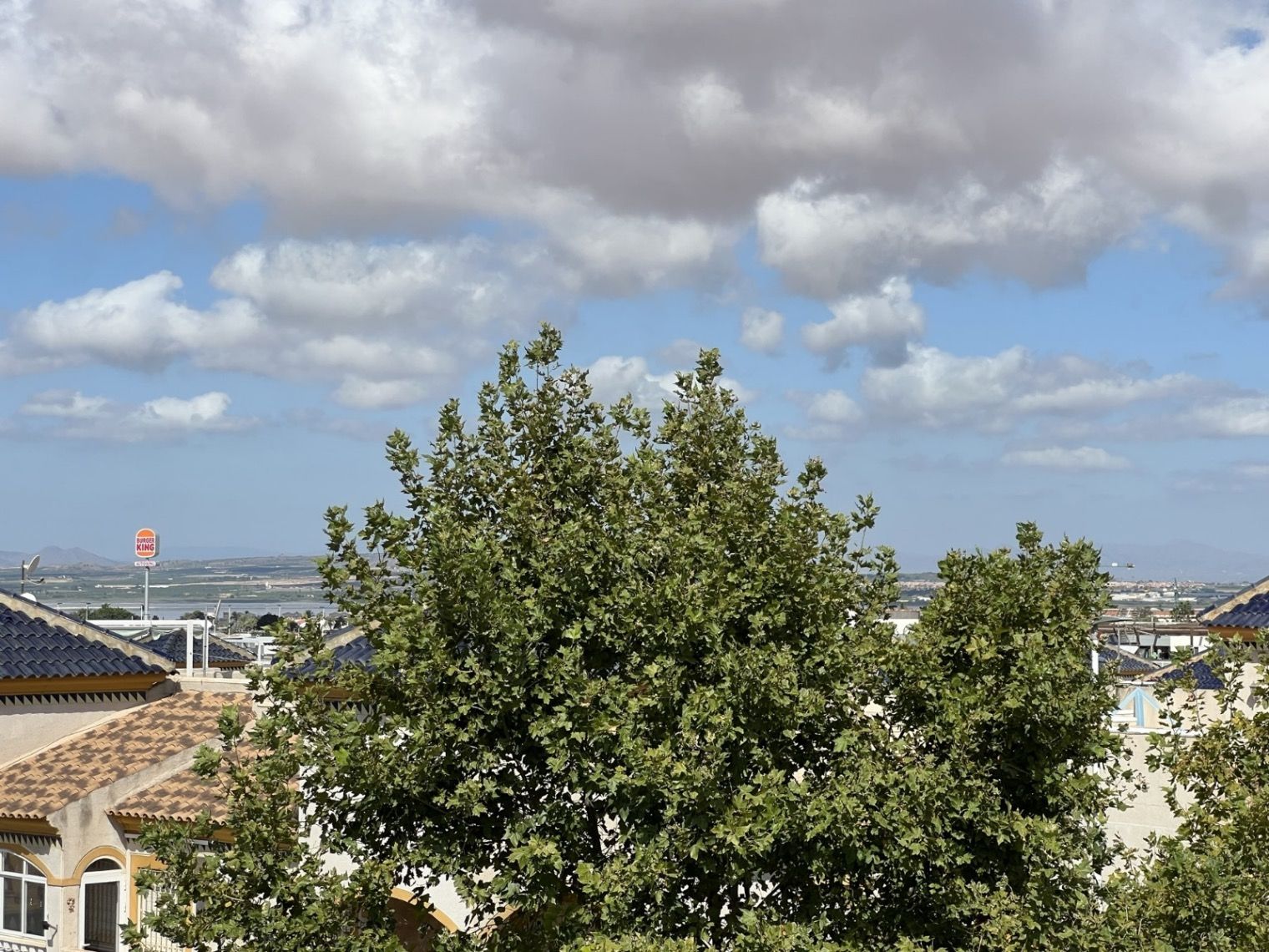 03 photo