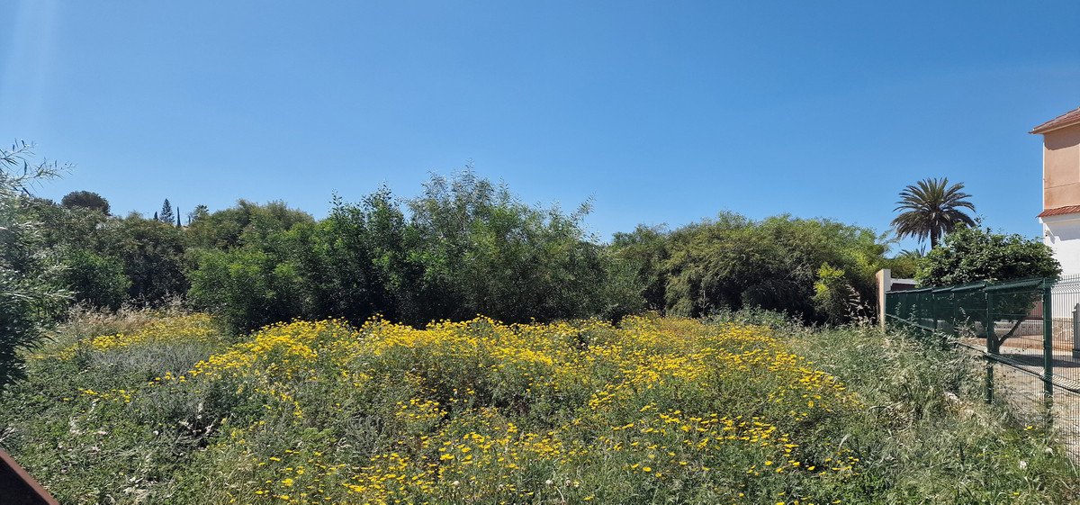06 photo