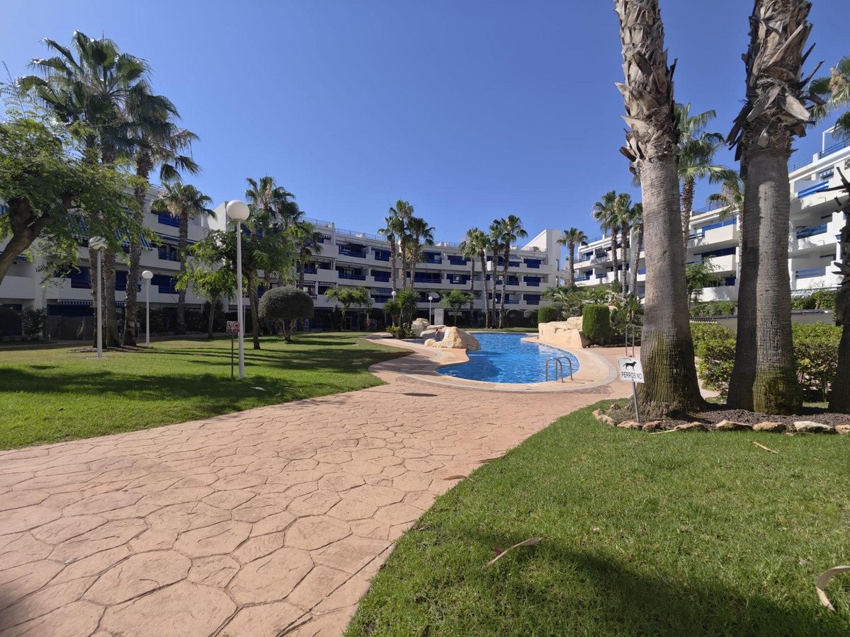 1 Bed Ground Floor Apartment in Punta Prima in Punta Prima, Apartment