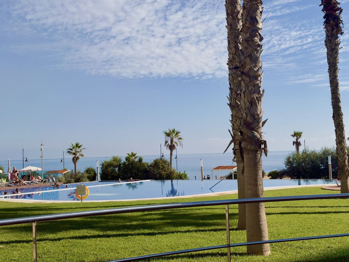 Infinity pool with ocean view, palm trees, and sunbathers enjoying the sunny day by the sea.
