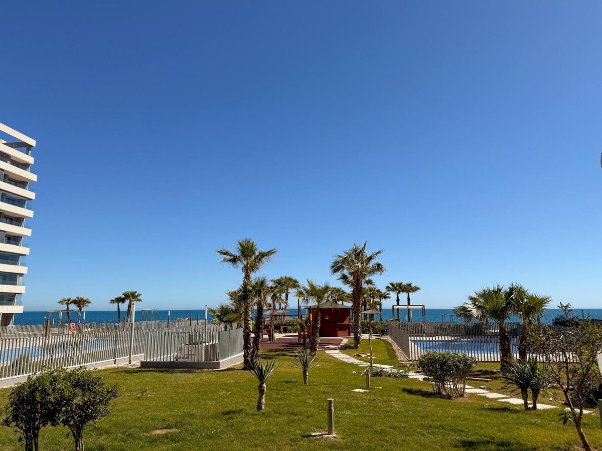 View of a swimming pool and palm trees with the sea in the background under a clear blue sky.